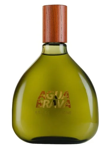 Frasco do perfume Antonio Puig Agua Brava