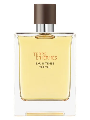 Frasco do perfume Hermes Terre D Hermes Eau Intense Vetiver