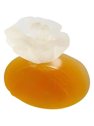 Frasco do perfume Kenzo Kenzo