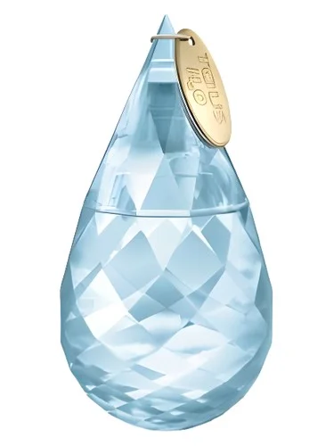 Frasco do perfume Tous H2o